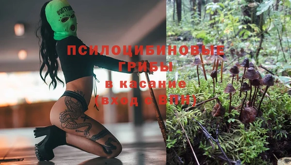 кокс Алзамай