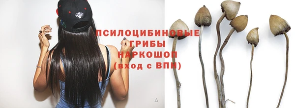 кокс Алзамай
