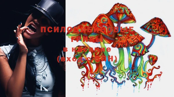 кокс Алзамай