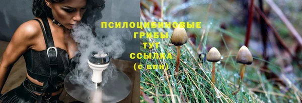 эйфоретик Алексин